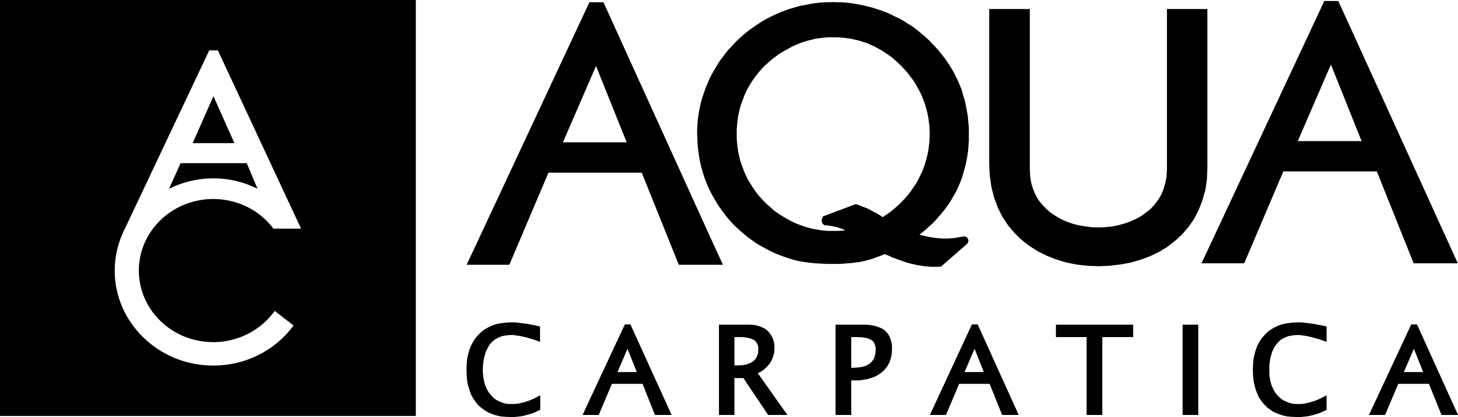 Sponsor1